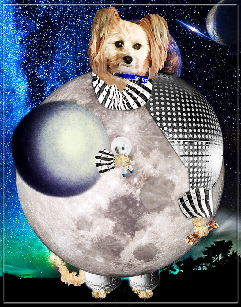 Astronaut Spartacus (click to enlarge image) Astronaut Spartacus