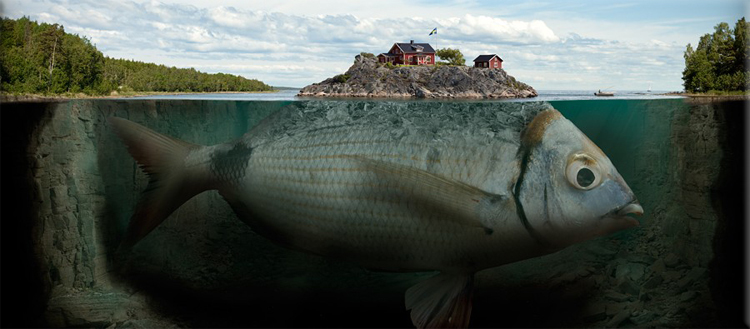 Swedish photographer Erik Johansson - Fish Art