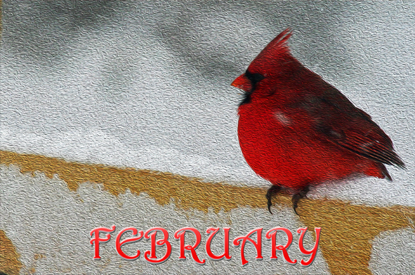February in History